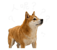 842345001