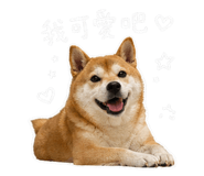 842345002