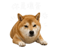 842345005