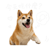 842345007