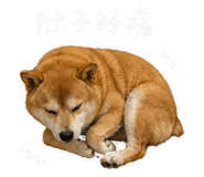 842345008