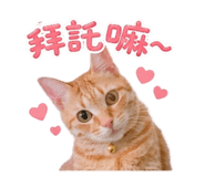 842345043