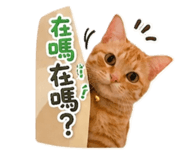 842345044