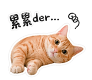 842345045