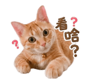 842345046