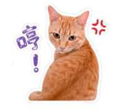 842345050