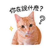 842345056
