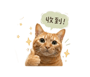 842345355