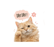 842345357