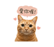 842345360