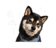 842345475