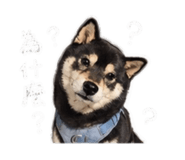 842345479