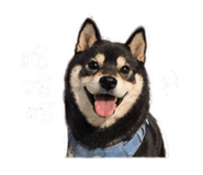 842345486