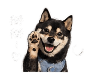 842345487