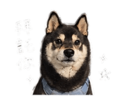 842345489