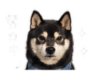 842345493