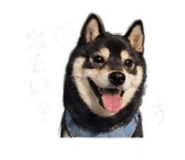 842345495