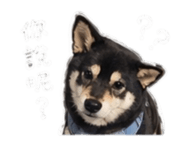 842345499