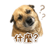 842345516