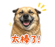 842345518