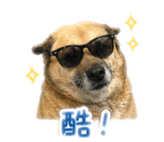 842345519