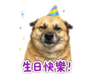 842345526