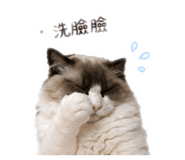 842345531