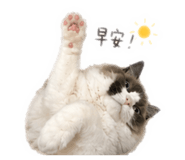842345535