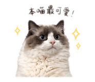 842345541