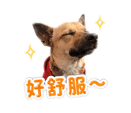 842345567