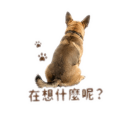 842345575