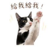 842346110