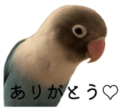 842346301