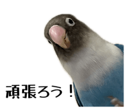 842346306