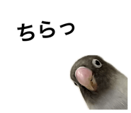 842346310