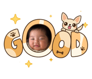842346647