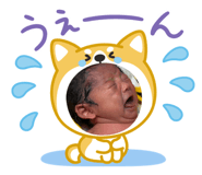 842346648