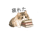 842346699