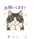 842346718