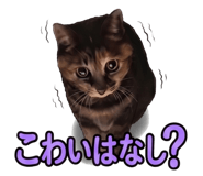 842346765