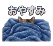 842346769