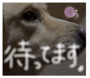 842346878