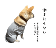 842346881