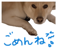 842346887