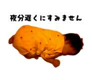 842346931