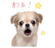 842347012