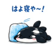 842347151