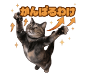 842347254