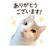 842347266