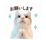842347269